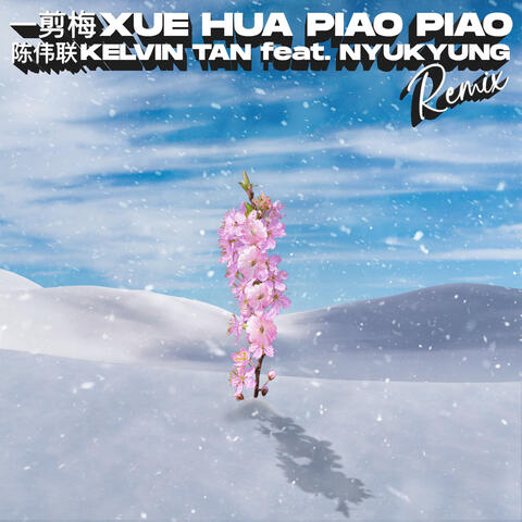 Yi Jian Mei Xue Hua Piao Piao