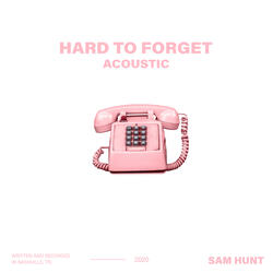 Hard To Forget
