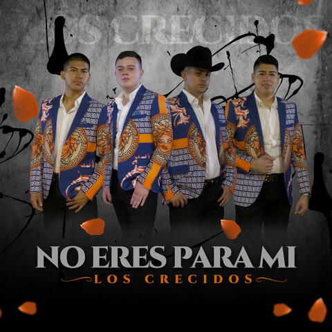 No Eres Para Mí