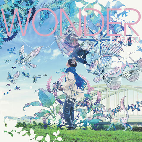 Wonder