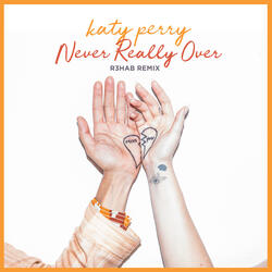 Never Really Over