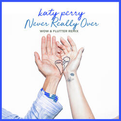 Never Really Over