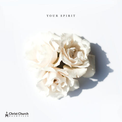 Your Spirit