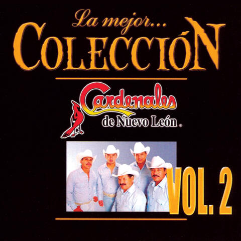 La Mejor Colección
