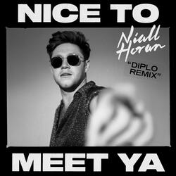 Nice To Meet Ya