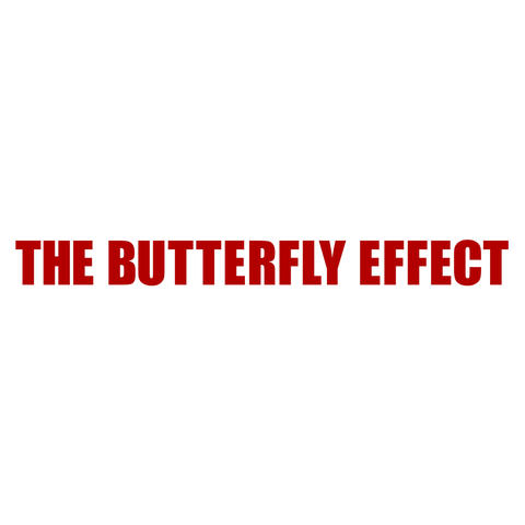 The Butterfly Effect