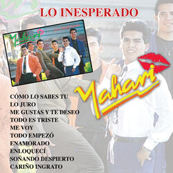 Me Gustas Y Te Deseo