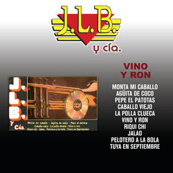 Agüita De Coco