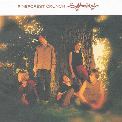 Pineforest Crunch