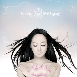 Ha Ha Li Li(SaDingDing ft. Spitfire)-Paul Oakenfold Remix Radio Edit