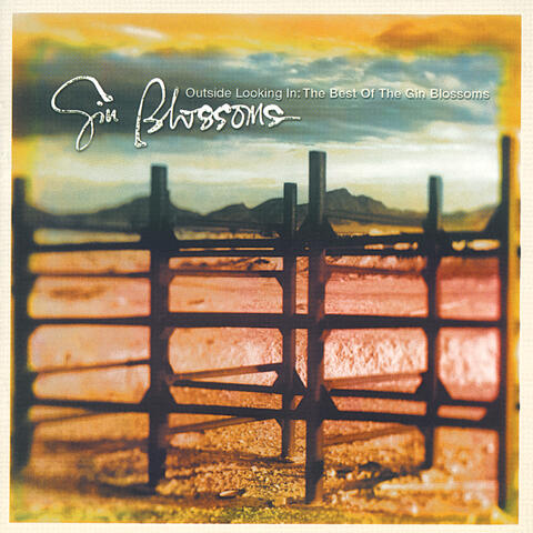 Outside Looking In: The Best Of The Gin Blossoms