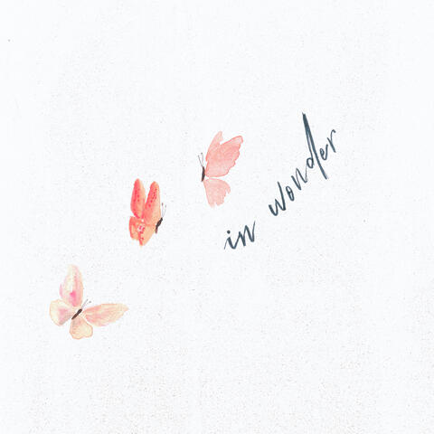 In Wonder