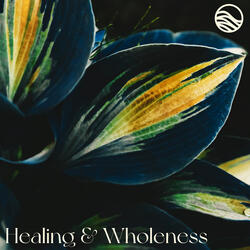 Song of the Sandman (Nature)