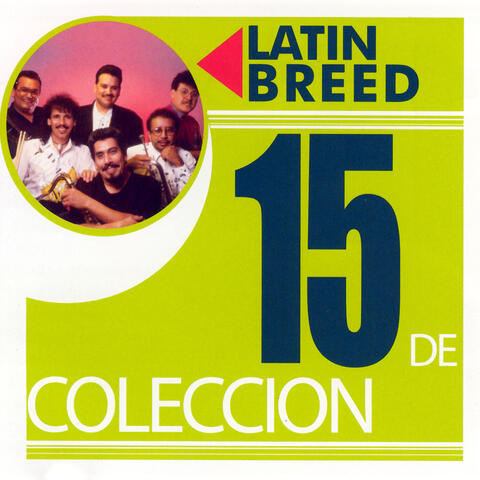 Latin Breed