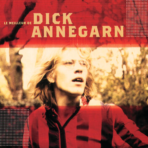 Le Meilleur De Dick Annegarn