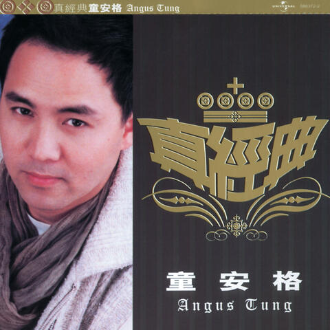 Zhen Jin Dian - Angus Tung