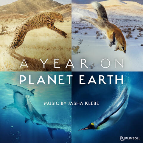 A Year On Planet Earth