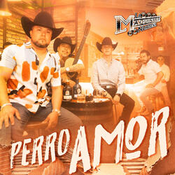 Perro Amor