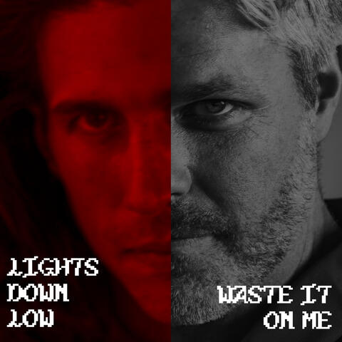 LIGHTS DOWN LOW / WASTE IT ON ME
