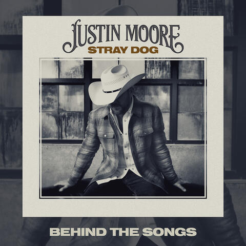 Stray Dog