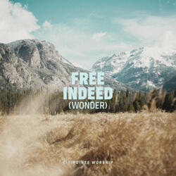 Free Indeed (Wonder)