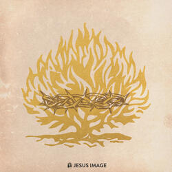 All Honor (Consuming Fire)