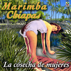 Cosecha De Mujeres