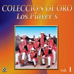 Libro De Recuerdos