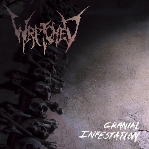Cranial Infestation
