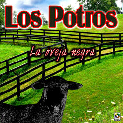 Besando Borrachos