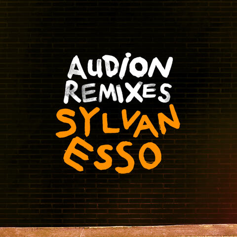 Sylvan Esso & Audion