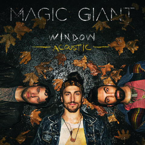 Window