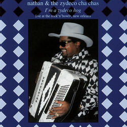 Stomp Down Zydeco