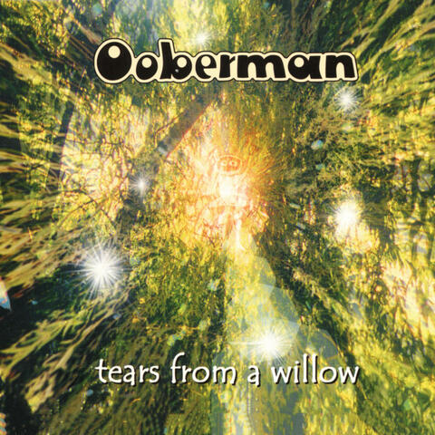 Tears From A Willow