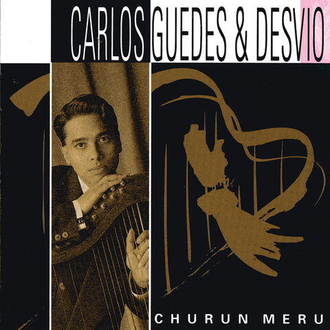 Carlos Guedes & Desvio