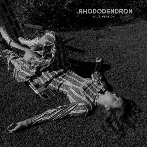 Rhododendron