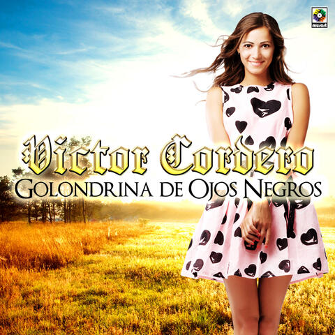 Golondrina de Ojos Negros