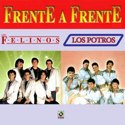 Triste Recuerdo