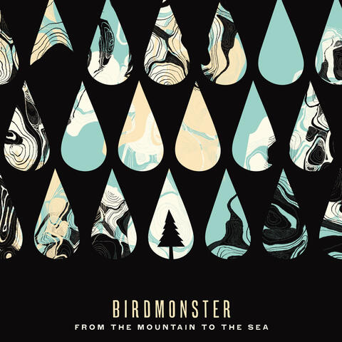 Birdmonster