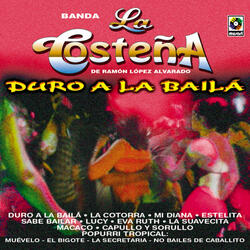 La Cotorra