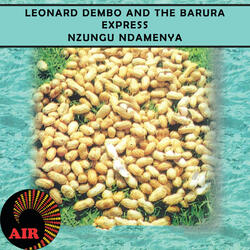 Ndibatsireiwo Ndanzwa