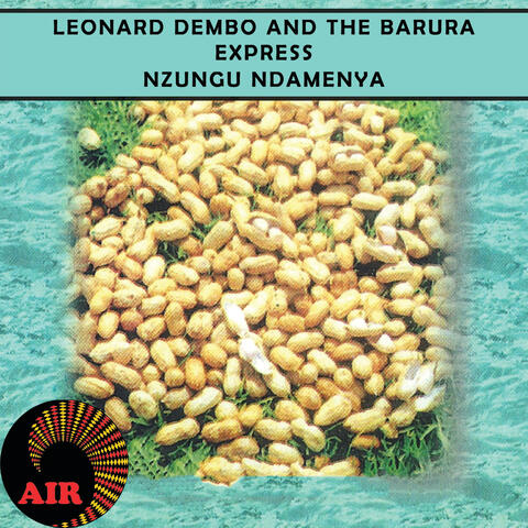 Nzungu Ndamenya
