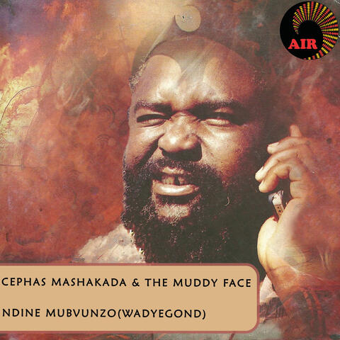 Ndine Mubvunzo (Wadyegond)