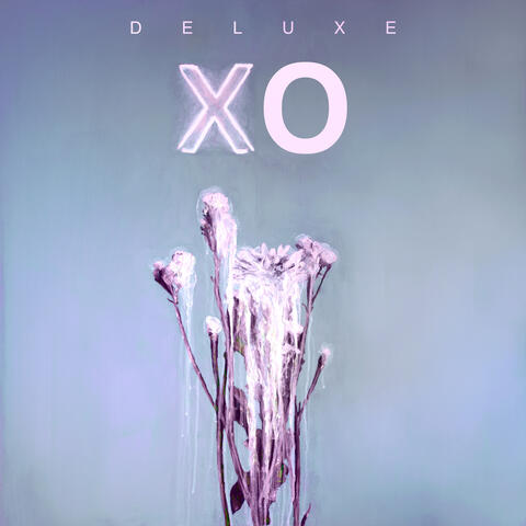 XO
