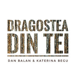 Dragostea Din Tei