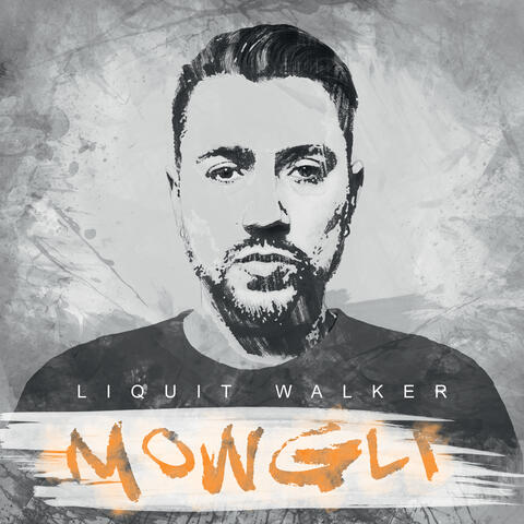 Liquit Walker