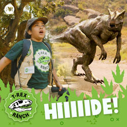 Run & Hide