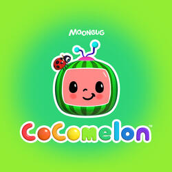 Testa, spalle, gambe e piè