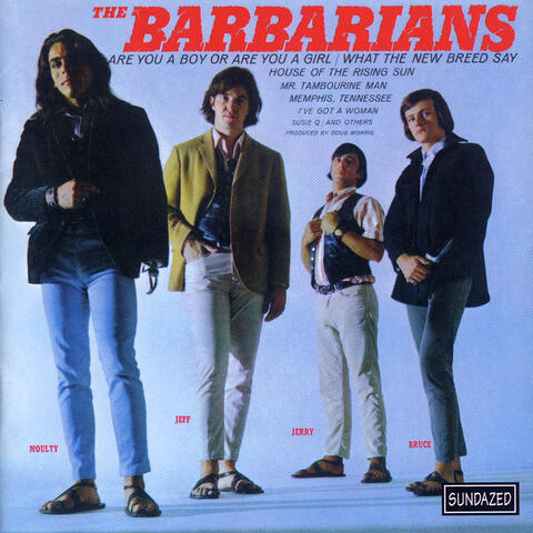 The Barbarians