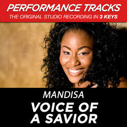 Voice Of A Savior